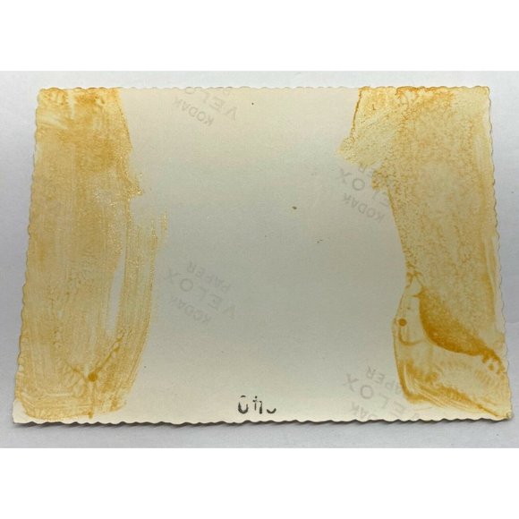 Found Photo Twin Boys with Dad and Grandpa Vintage 1940s Brothers - Picture 3 of 5